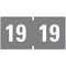 Smead 0.75 in. x 1.5 in. "19" Yearly End Tab File Folder Labels - Gray (500/Roll)